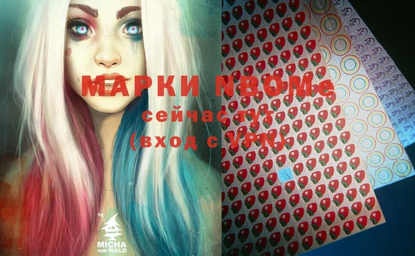 МДПВ Алзамай